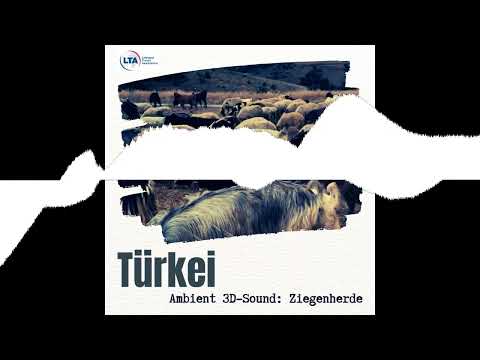 ASMR Ziegenherde in der Türkei: Ambient 3D-Sound zum Einschlafen