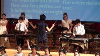 興華國小打擊樂--2013一起玩音樂--長笛協奏曲:Somewhere Out There