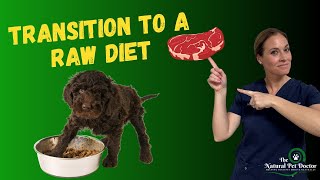 How To Transition Your Dog & Cat To A Raw Food Diet - Dr. Katie Woodley | Holistic Veterinarian