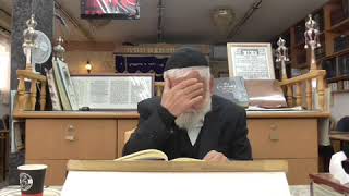1890001זוהר תולדות