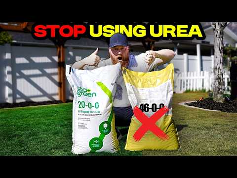 The Pest and Lawn Ginja