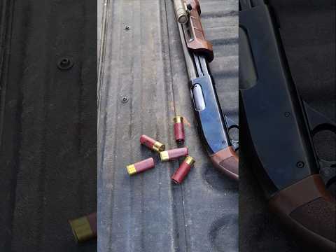 Remington 870 DM: Pump Shotgun WITH a Box Mag? #pumpshotgun #guncollection #remington