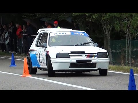 7° Slalom dei Colli Euganei - Città di Este | Denis Bazzolo | Peugeot 205