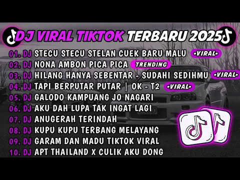 DJ TIKTOK TERBARU 2025🎵DJ STECU STECU STELAN CUEK BARU MALU🎵DJ NONA AMBON PICA || FULL ALBUM VIRAL