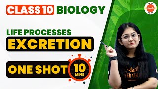 Excretion in Human Beings One Shot in 10 Mins | Life Processes Class 10 Science (Biology) #CBSE2024