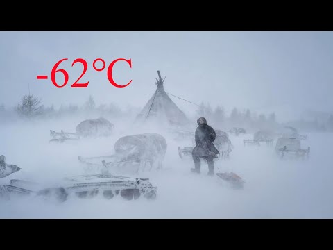 Survival in the Russian Far North in the harsh cold of the tundra of nomadic reindeer herders