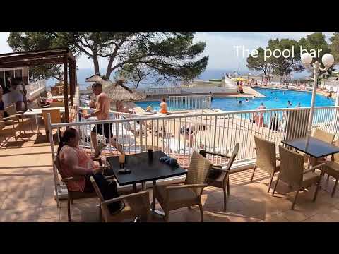 Videos del Sun Club El Dorado 2★ en Llucmajor, EspañaVer MásVerPrecios16CerrarConsulta por Whatsapp 🇦🇷BookingTripadvisorExpediaAgodaTravelocityOrbitzPricelineTripSkyscannerKayakHotelesDestiniaTrivagoAlmundoLastminuteTui