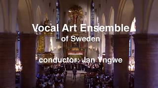 Download Lagu The Fruit of Silence, Peteris Vasks, Vocal Art Ensemble of Sweden, Jan Yngwe Thumbnail
