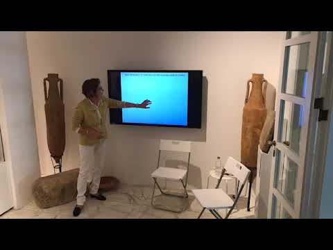 MVOEM 9/5/2017 - La Nuova Cronologia del Bronzo Antico nel Sud Levante (Elisabetta Boaretto).mp4