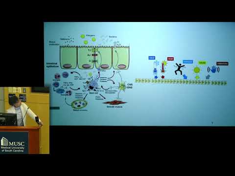 Consider Chiari Grand Rounds: "Mast Cell Activation" - Anne Maitland, MD, PhD