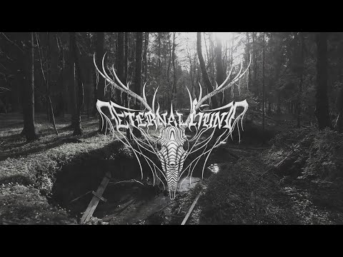 Eternal Hunt - Voices Of A Dissonant System