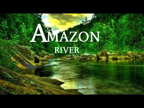 Amazon River | The World's Largest Tropical Rainforest | wildlife | Scenic movie