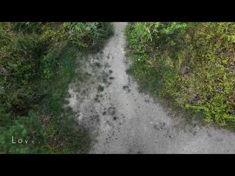 Pískovna Vejprnice - představení lovných míst