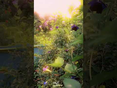 #climate  # vanshu creations 🤙⚡