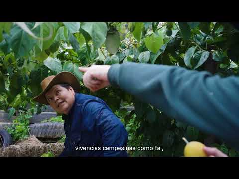 miPáramo Emprende - Hacienda Agroturística La Perla - Pamplona, Norte de Santander
