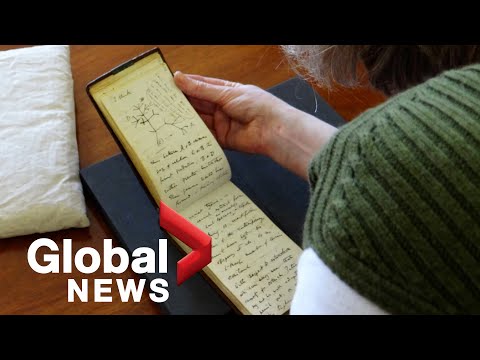 Rare Charles Darwin notebooks anonymously returned 20 years after vanishing