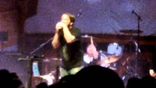 Reggie & The Full Effect - Happy V-Day