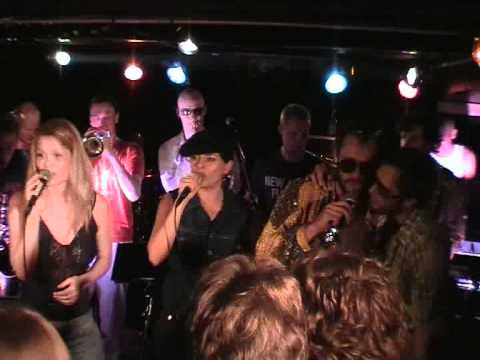 Turgid Funk Live 2004 - Back To Love