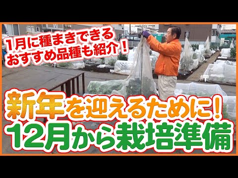 2月に庭で何をするか 春を迎えるために土壌を肥料にします