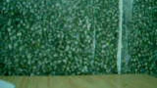 me singing my time on earth by billy gilman