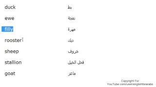 تعلم اللغة الانجليزية الدرس 54 اسماء الحيوانات بالانجليزي الجزء 2