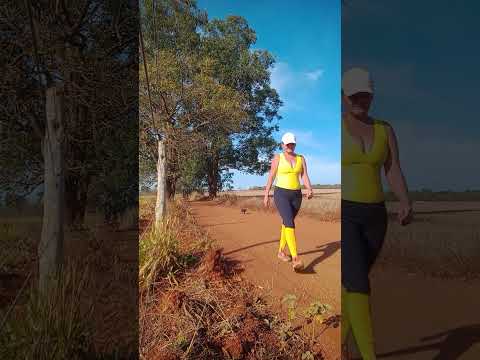 Caminhada sertaneja Comunidade Santa Rita município Vianópolis Goiás Brasil