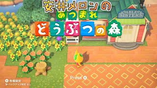 安井メロン のまったりあつ森ライブ配信