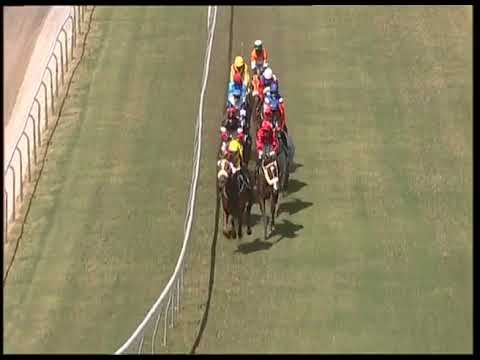 Hippisme – 4e journée (3e course) :  WhyWouldn't Yew s'impose avec Rama en scelle