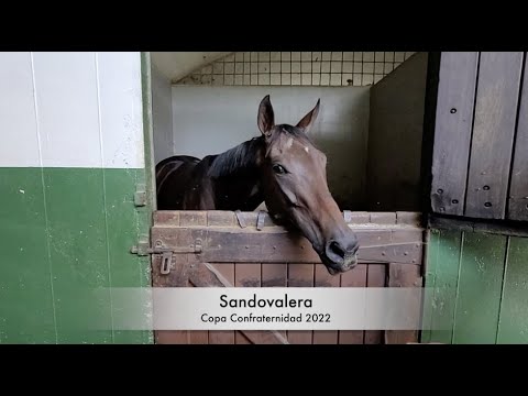 Sandovalera - Representa A Venezuela En La Copa Confraternidad 2022