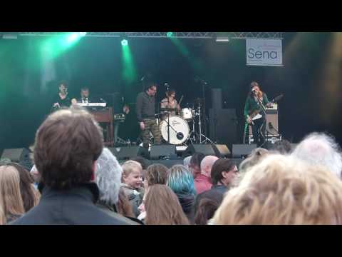 Barry Hay's Flying V Formation