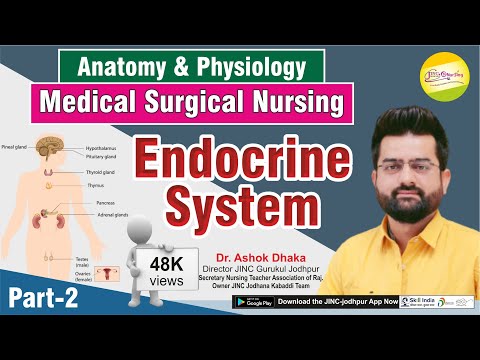 Endocrine System Part-2