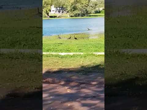 Lago y balneario municipal VILLA DEL DIQUE #cordoba