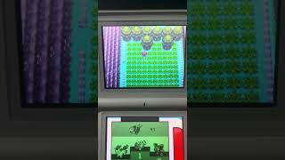 SHINY SWELLOW! Pokémon Platinum Radar hunting (7) #2024 #pokemon #shinyhunting #shinypokemon