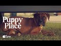 Puppy Place — Jack the Boxer | Apple TV+