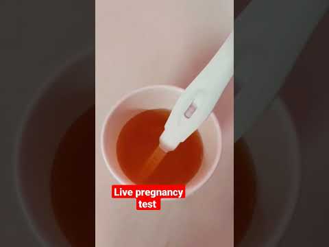 Live pregnancy test #viral #youtubeshorts