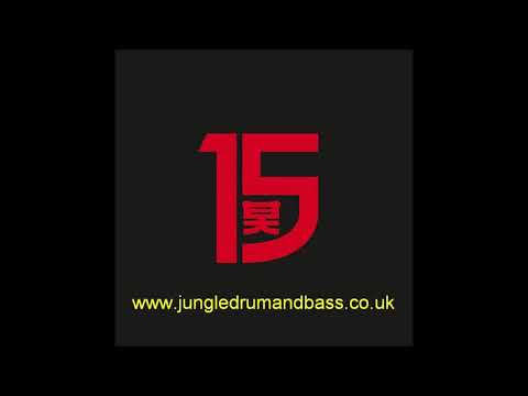 15 Years Of Shogun Audio Album Megamix