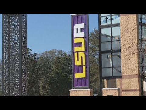 Mylsua