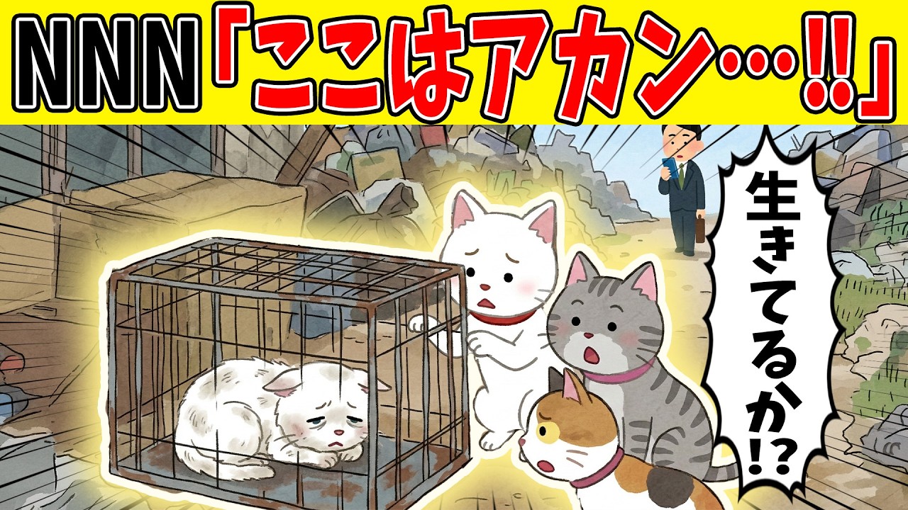 【壮絶】劣悪すぎる環境から猫を救い出した結果【ほのぼの】