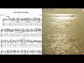 Joe Pass - She's Funny That Way (Transcription)