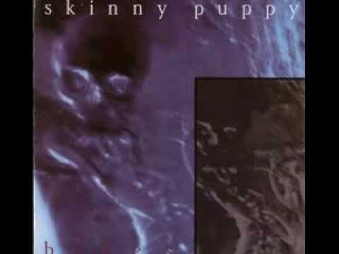 Skinny Puppy - Remission + Bites (2 Full Albums)