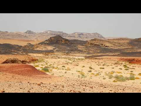 Evangelium am 3. Advent, Matthäus 11, 2–10, Die Anfrage des Täufers und Jesu Zeugnis über den Täufer