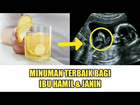 , title : 'Daftar Minuman Terbaik untuk Ibu Hamil dan Janin'