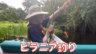 凶暴なピラニアを食うために釣る