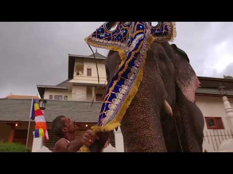 Explore the Srilanka