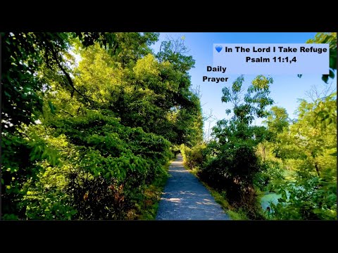 💙  In The Lord I Take Refuge (Psalm 11:1,4)  4K  Friday July 7, 2023 #pray