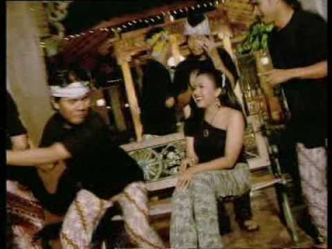 cucak rowo-Barakatak