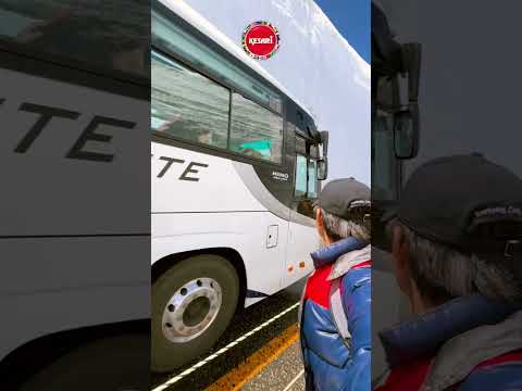 Japan’s most scenic experiences are now in season | Alpine Rout with Ashikaga flower park.