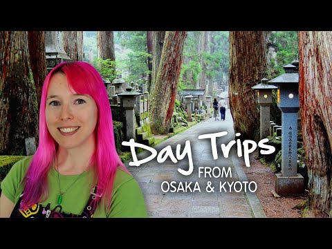 Day Trips from Osaka & Kyoto ⛩️🚅  (Kansai, Japan)