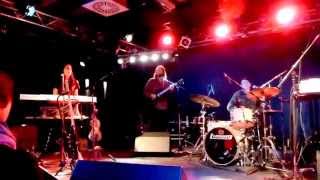 Joan As Police Woman - Shame - live Feierwerk Munich 2014-03-24