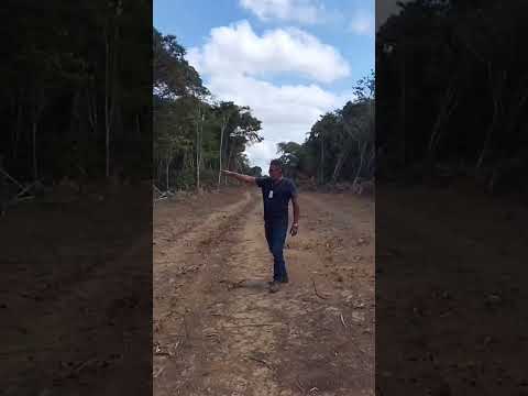 ? Chácara de 800m²: Seu Cantinho no Campo!